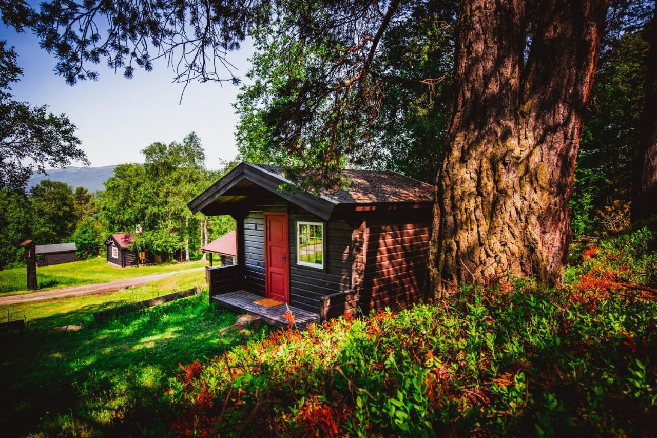 Ljoshaugen Camping Hotel Dombås Kültér fotó