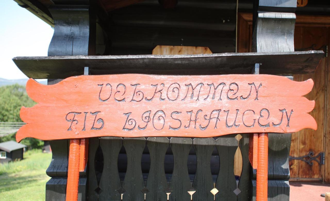 Ljoshaugen Camping Dombås Kültér fotó