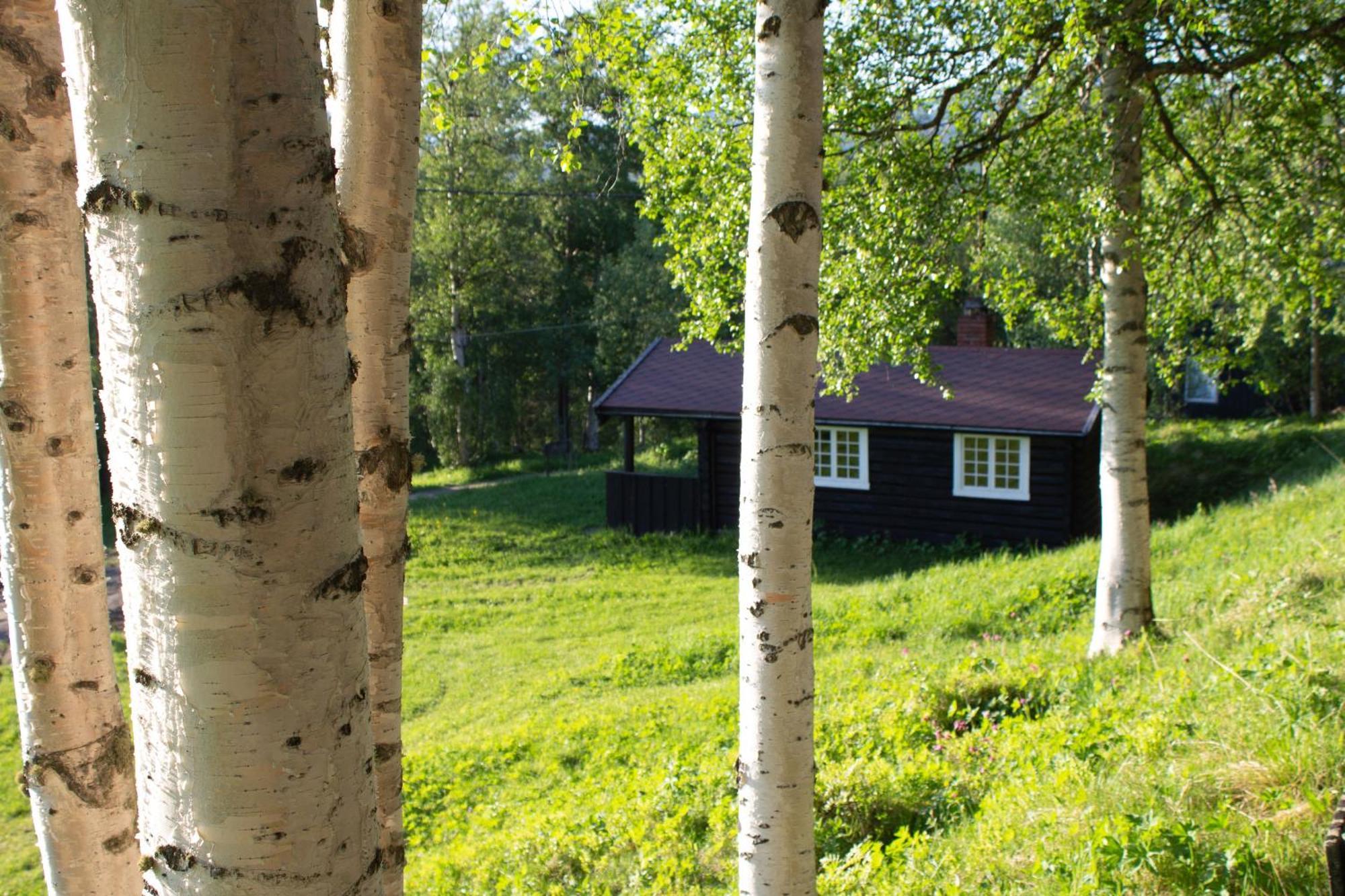 Ljoshaugen Camping Dombås Kültér fotó